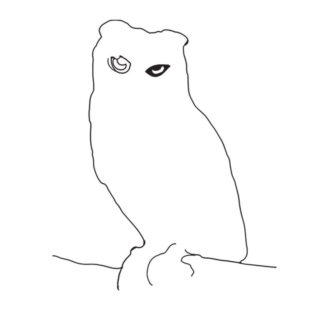 Meet your Posher, Ptika